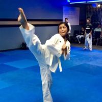 Golden Tigers Taekwondo ico