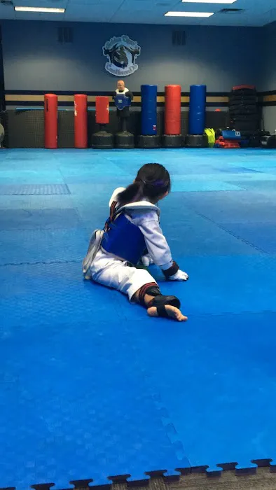 Golden Tigers Taekwondo Picture 6