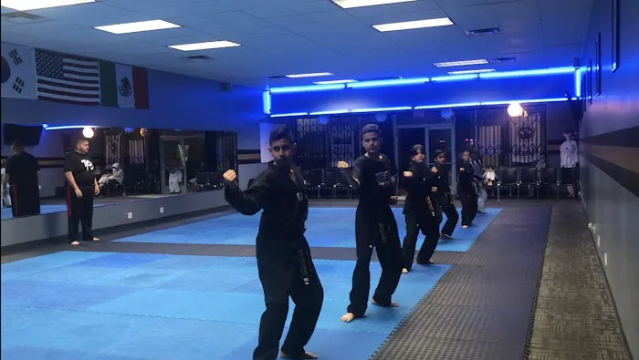 Golden Tigers Taekwondo Picture 4