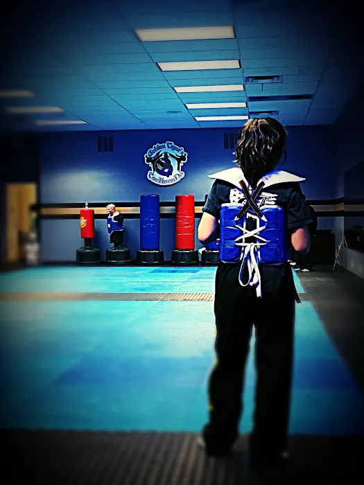 Golden Tigers Taekwondo Picture 3