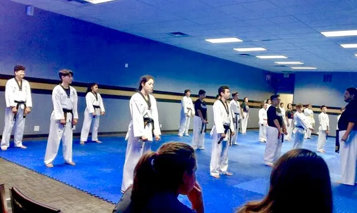 Golden Tigers Taekwondo Picture 2