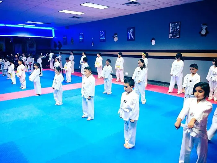 Golden Tigers Taekwondo Picture 7