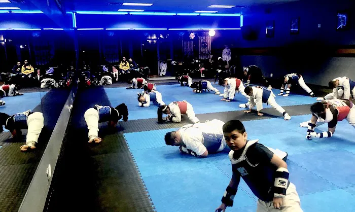 Golden Tigers Taekwondo Picture 8