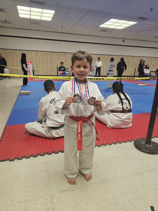 Ramirez Twin Tigers Taekwondo Picture 1