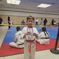 Ramirez Twin Tigers Taekwondo ico