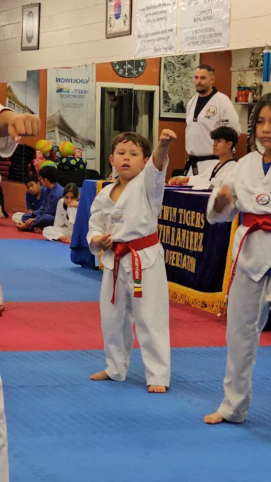 Ramirez Twin Tigers Taekwondo Picture 3