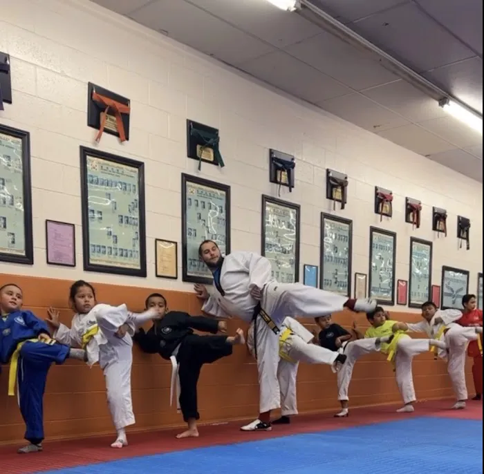 Ramirez Twin Tigers Taekwondo Picture 6