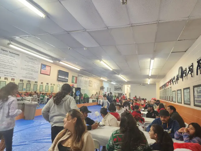 Ramirez Twin Tigers Taekwondo Picture 7