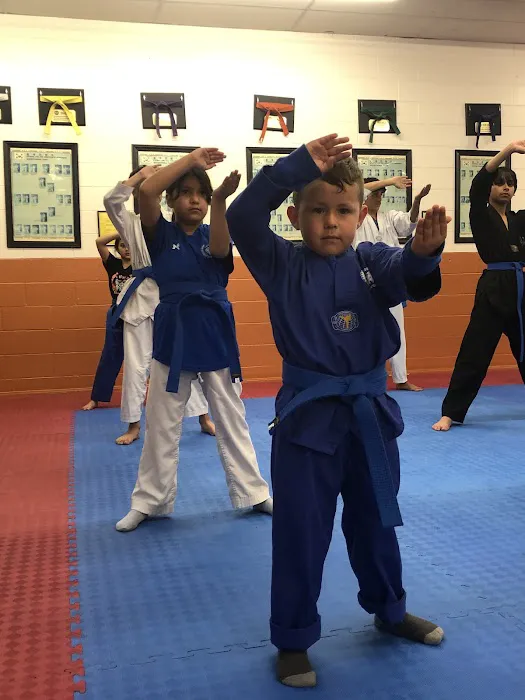 Ramirez Twin Tigers Taekwondo Picture 8