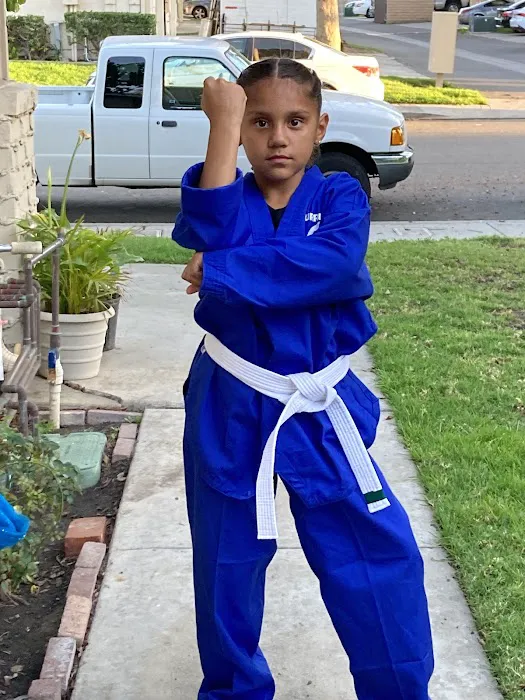 Urrutia’s Taekwondo Academy Picture 2