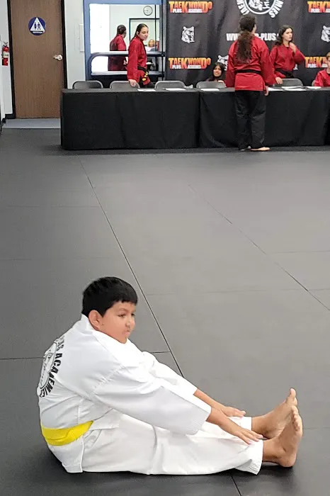 TaeKwonDo Plus Picture 2