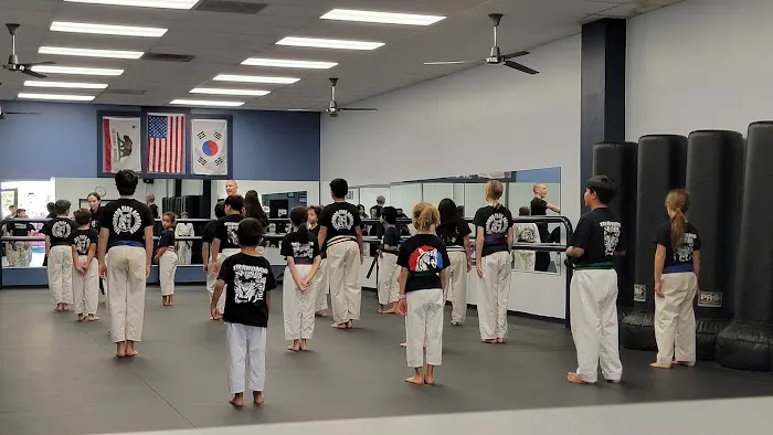 TaeKwonDo Plus Picture 5