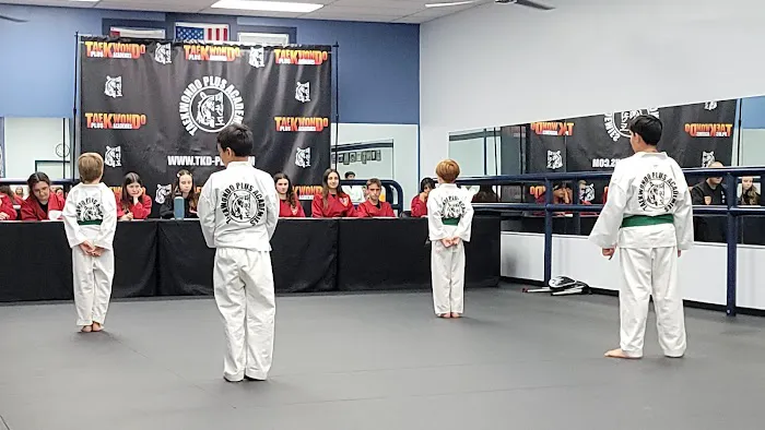 TaeKwonDo Plus Picture 1