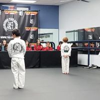 TaeKwonDo Plus ico