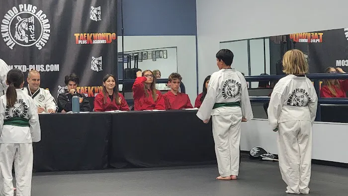 TaeKwonDo Plus Picture 4