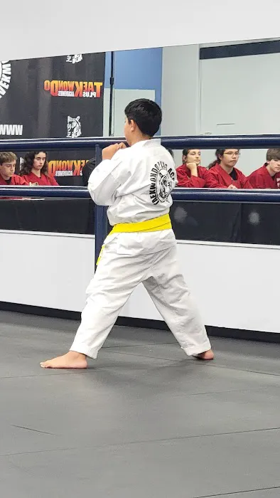 TaeKwonDo Plus Picture 6