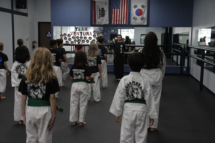 TaeKwonDo Plus Picture 7