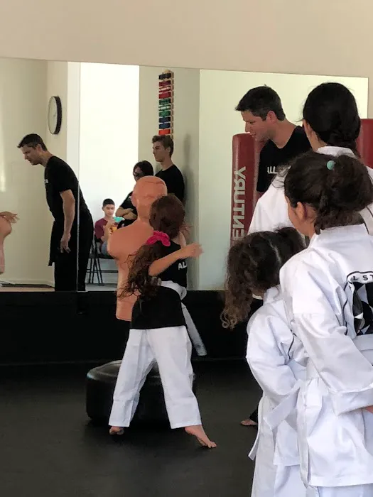All Star Martial Arts Picture 4