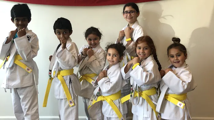 All Star Martial Arts Picture 5