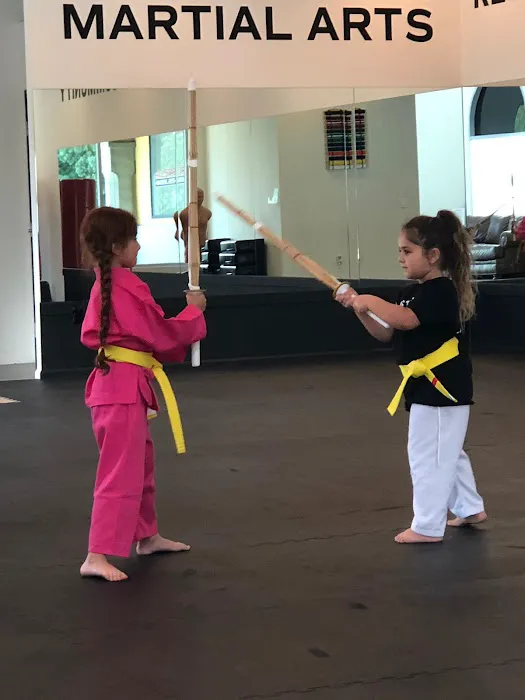 All Star Martial Arts Picture 3