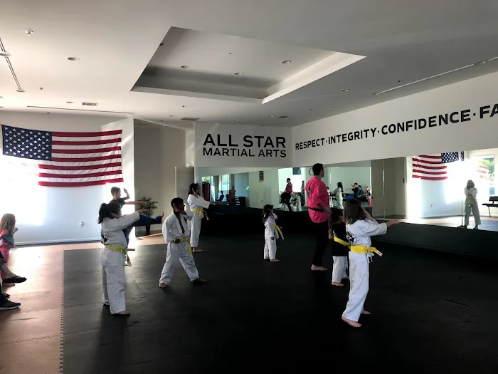 All Star Martial Arts Picture 7