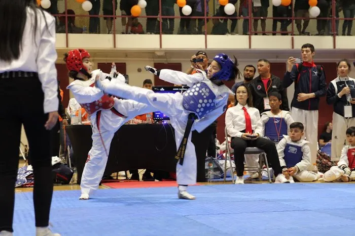 Quest Taekwondo Picture 2