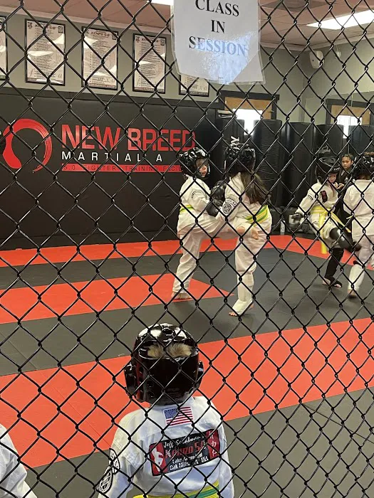 New Breed Martial arts - Lake Arrowhead Picture 1