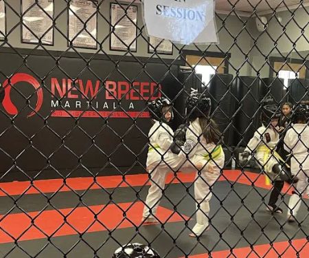 New Breed Martial arts - Lake Arrowhead