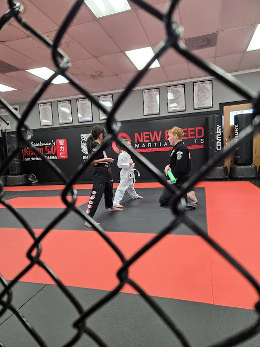 New Breed Martial arts - Lake Arrowhead Picture 4