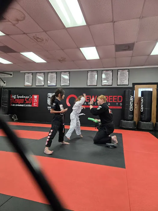 New Breed Martial arts - Lake Arrowhead Picture 3