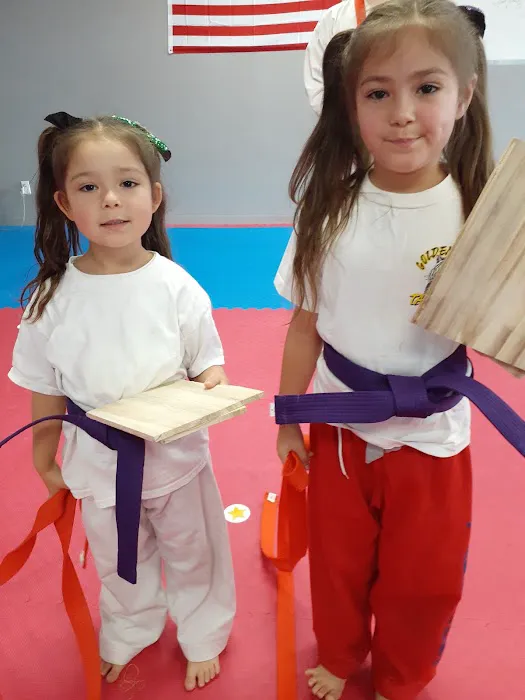 Kick's Tae Kwon Do Of Hesperia Picture 2