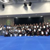 Victorville Taekwondo Academy ico