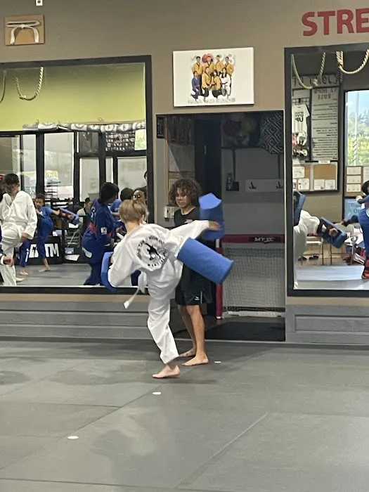 HANA Taekwondo Academy Picture 3