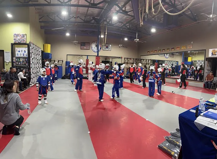 Hana Taekwondo Academy Picture 1