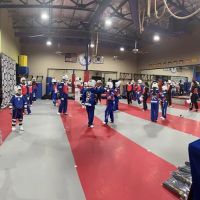 Hana Taekwondo Academy ico