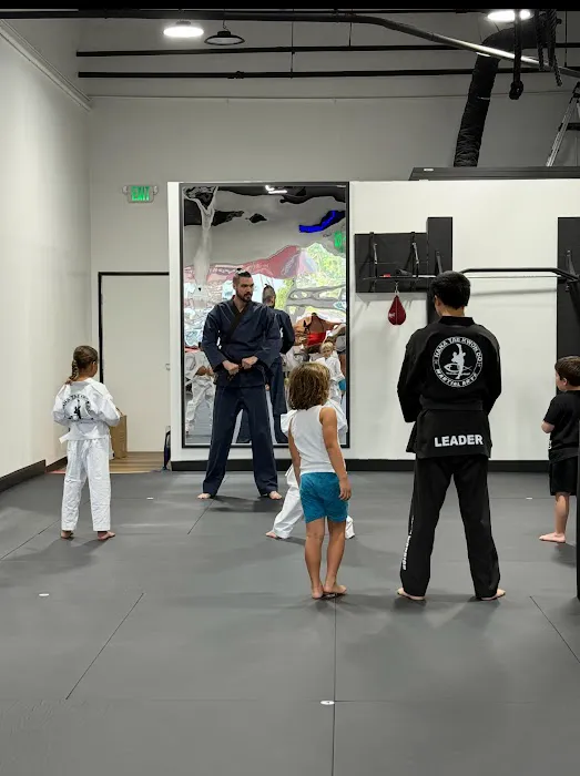 Hana Taekwondo Academy Picture 2