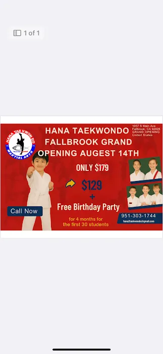 Hana Taekwondo Academy Picture 7