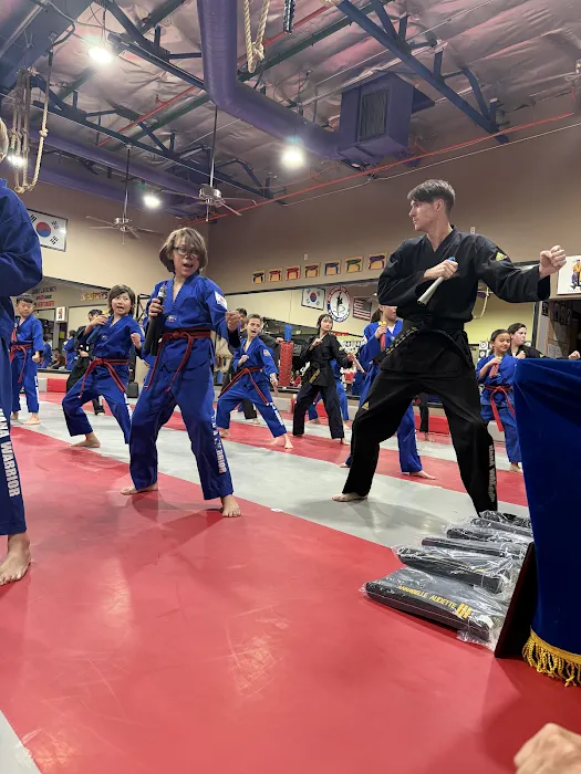 Hana Taekwondo Academy Picture 10