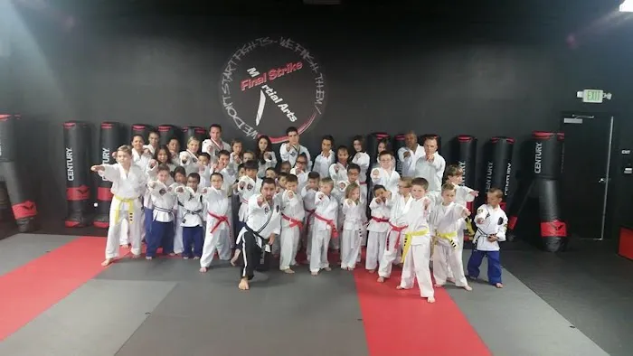 Final Strike Martial Arts Picture 3