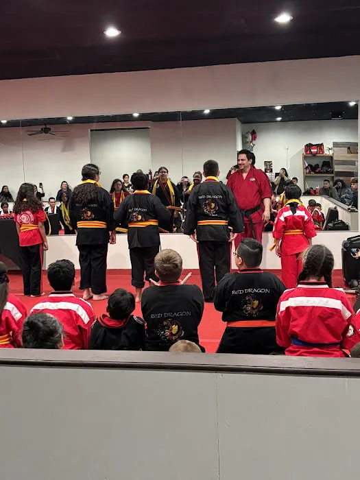 Red Dragon Karate Beaumont Picture 3