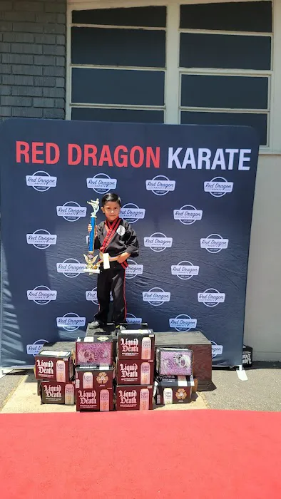 Red Dragon Karate Beaumont Picture 4