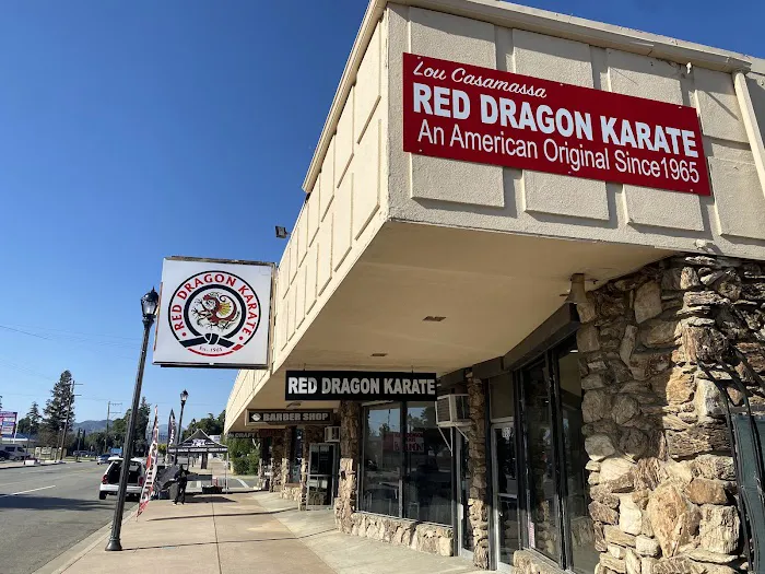 Red Dragon Karate Beaumont Picture 6
