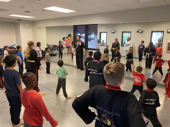 Red Dragon Karate Beaumont Picture 9