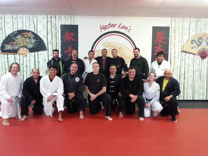 Master Lee's Kung Fu San Soo Picture 1
