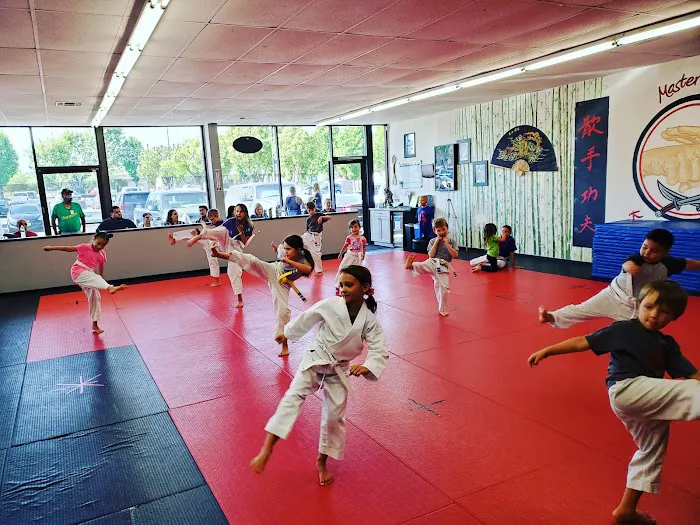 Master Lee's Kung Fu San Soo Picture 3