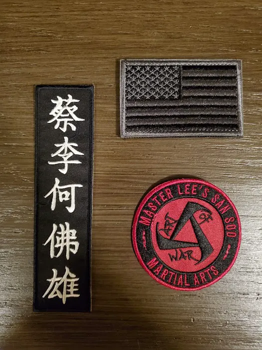 Master Lee's Kung Fu San Soo Picture 5