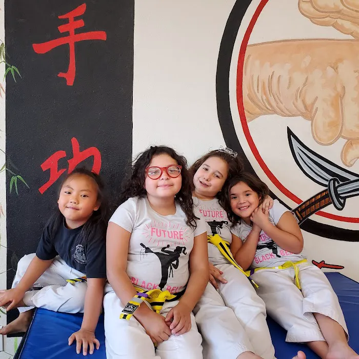 Master Lee's Kung Fu San Soo Picture 8