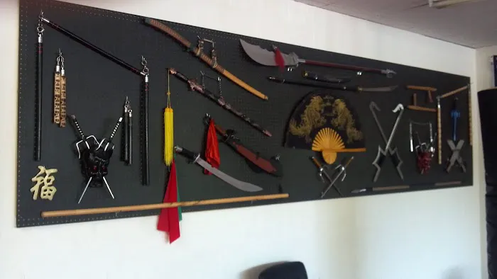 Master Lee's Kung Fu San Soo Picture 10