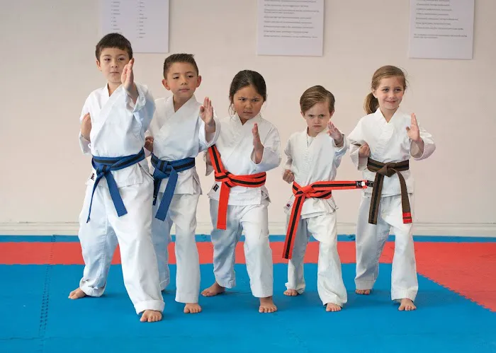 California Shito-Ryu Karate Picture 2