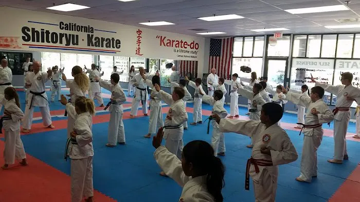 California Shito-Ryu Karate Picture 7